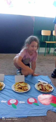 b_1024_768_0_00_images_2023_2024_Swietlica_jablko_385254654_780740703853880_3019946933449278697_n